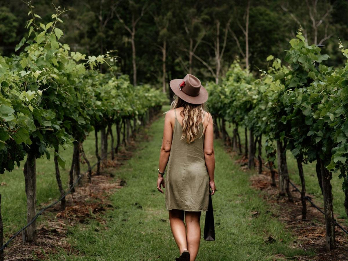 Luxury Wine Tours