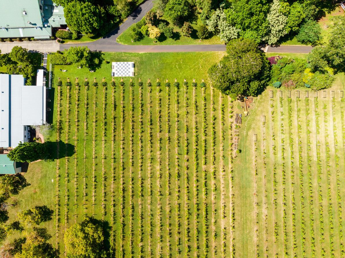 Tamborine Mountain - Wine Tasting Tour - From Brisbane