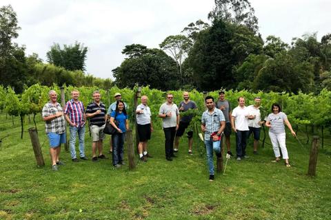 Private Full Day Mount Tamborine Winery Tour - Brisbane Pickup