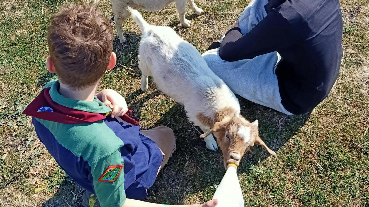 Pittsworth Camping