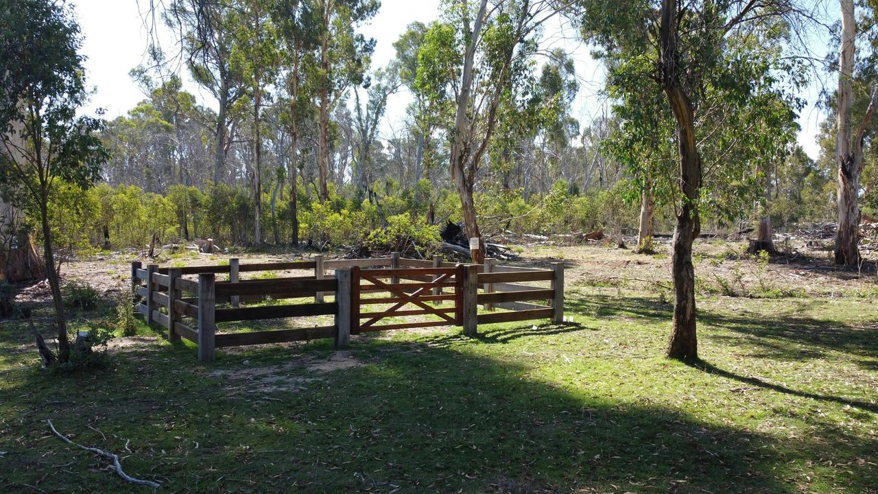 Horse yards at Paling Yards