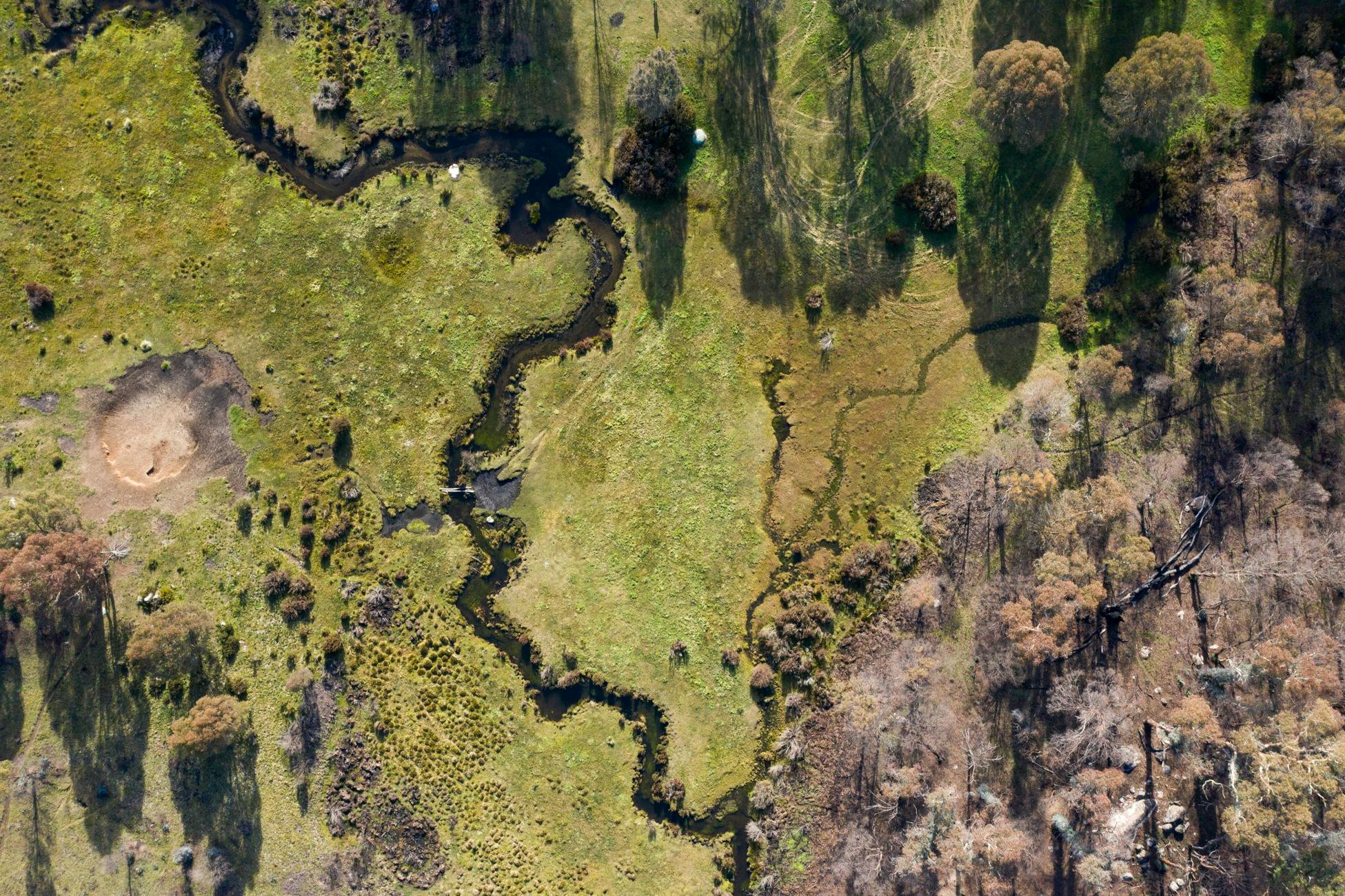 Aerial view - Paling Yards