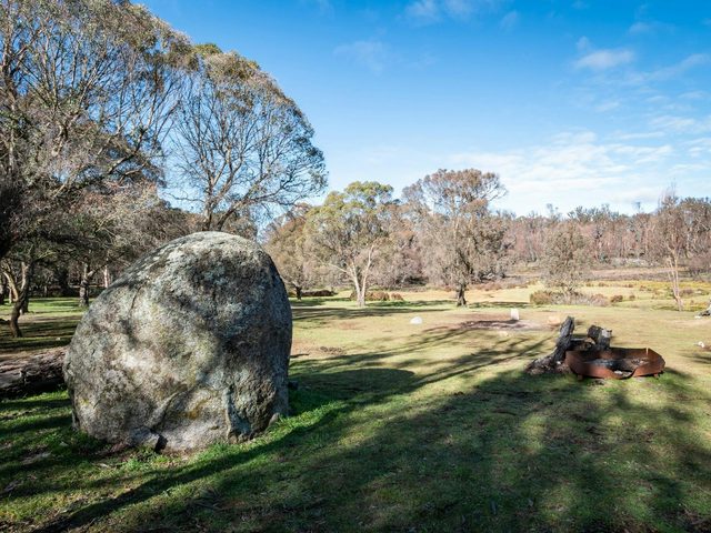 Paling Yards, Bago State Forest
