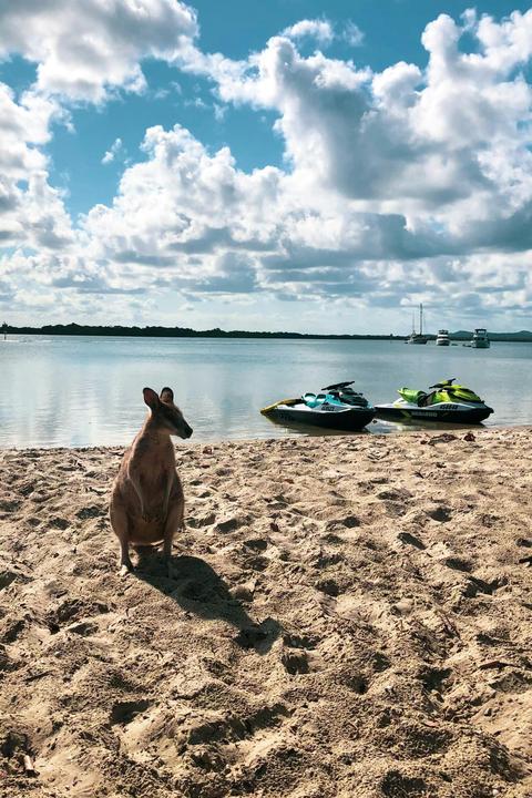 Odyssey Jet Ski Tours