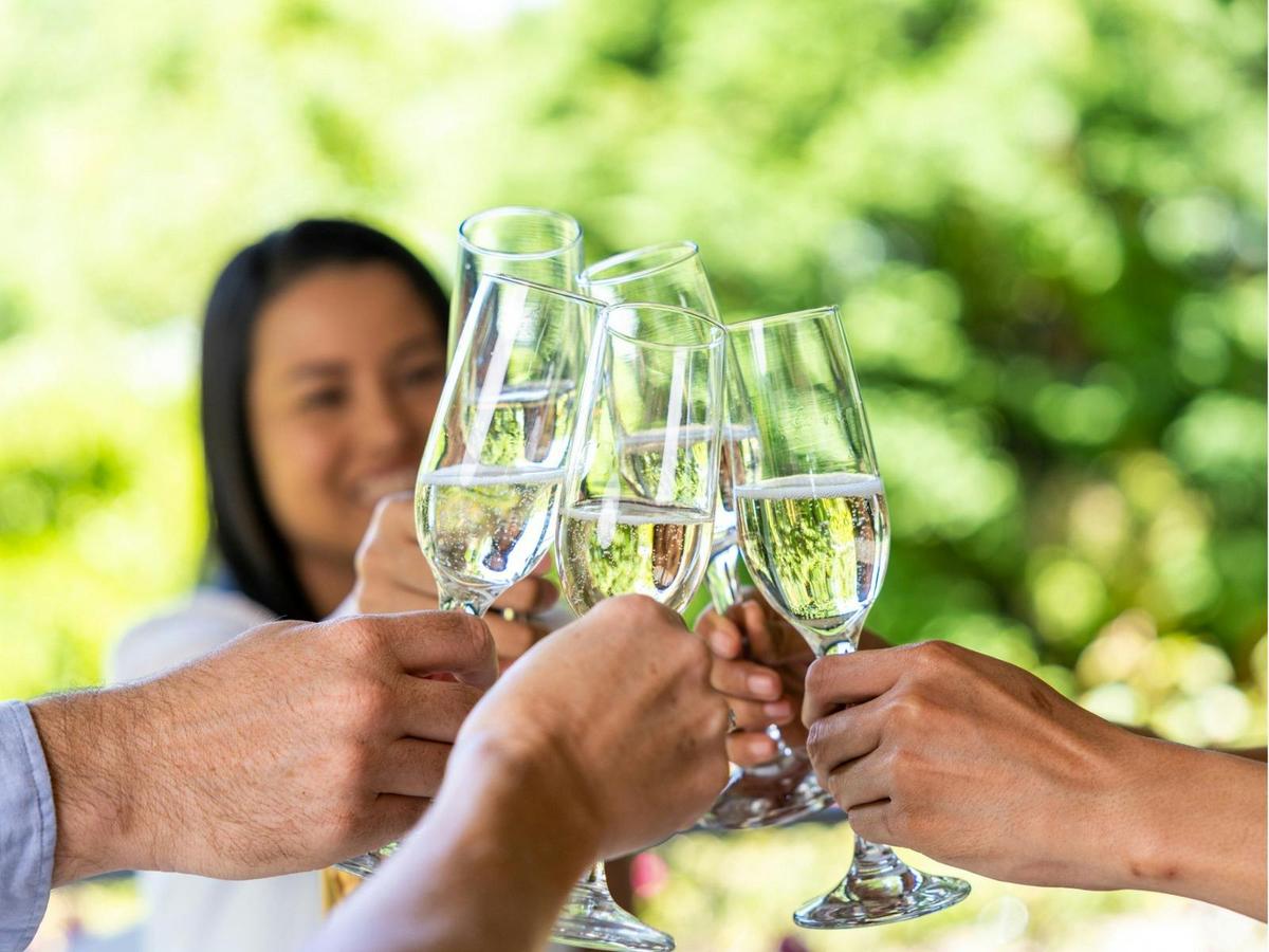 Tamborine Mountain - Premium Winery Tour with Gourmet Lunch – From Gold Coast