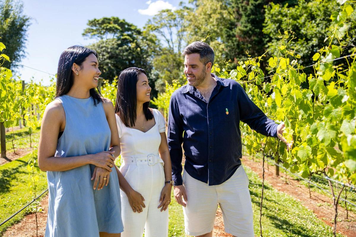 The Ultimate Gourmet Tasting Experience - Gold Coast