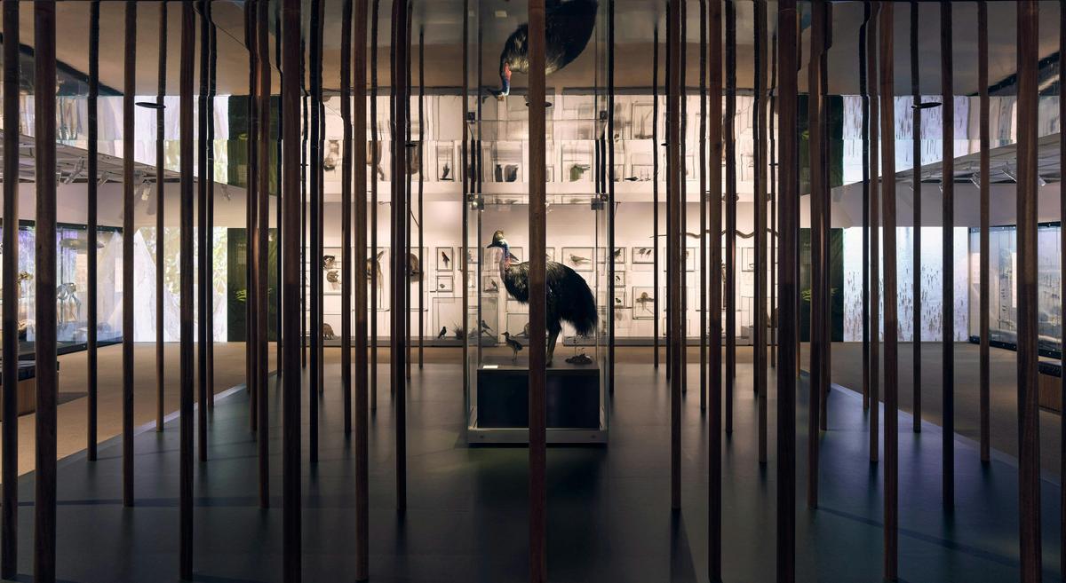Wild State at Queensland Museum Kurilpa