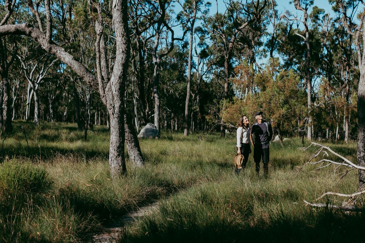 Enjoying a Bushland Stroll at Redlands Track Park, Redlands Coast
