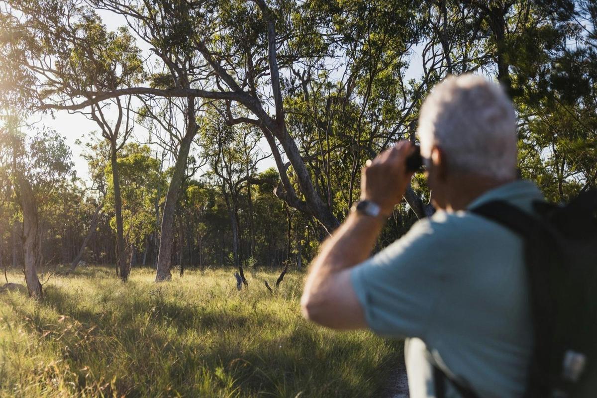 Capturing the Beauty of Redlands Track Park, Redlands Coast