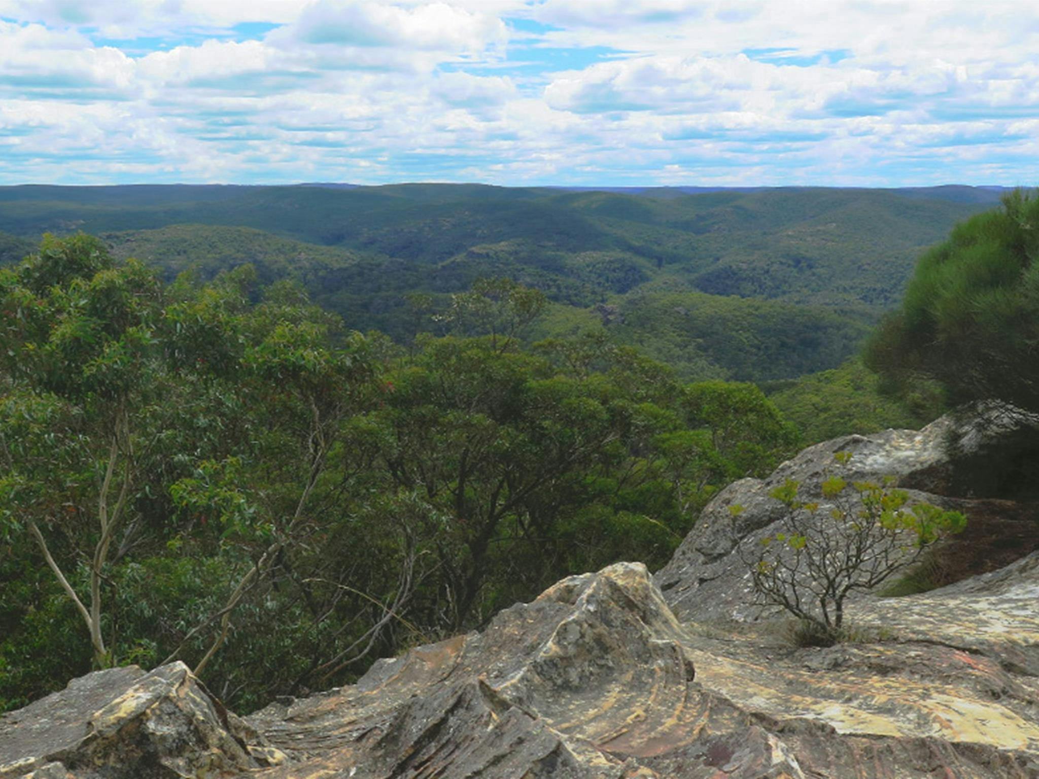 From Du Faurs lookout, view over rock ledge to forest-clad ridges and valleys of the Wollangambe and