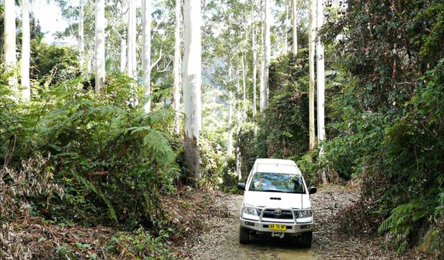 Orara Escarpment 4WD Touring Route