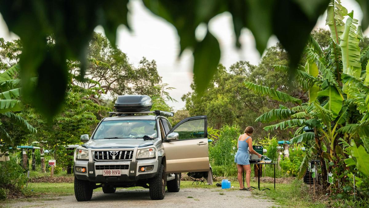 Banana Patch Campsite