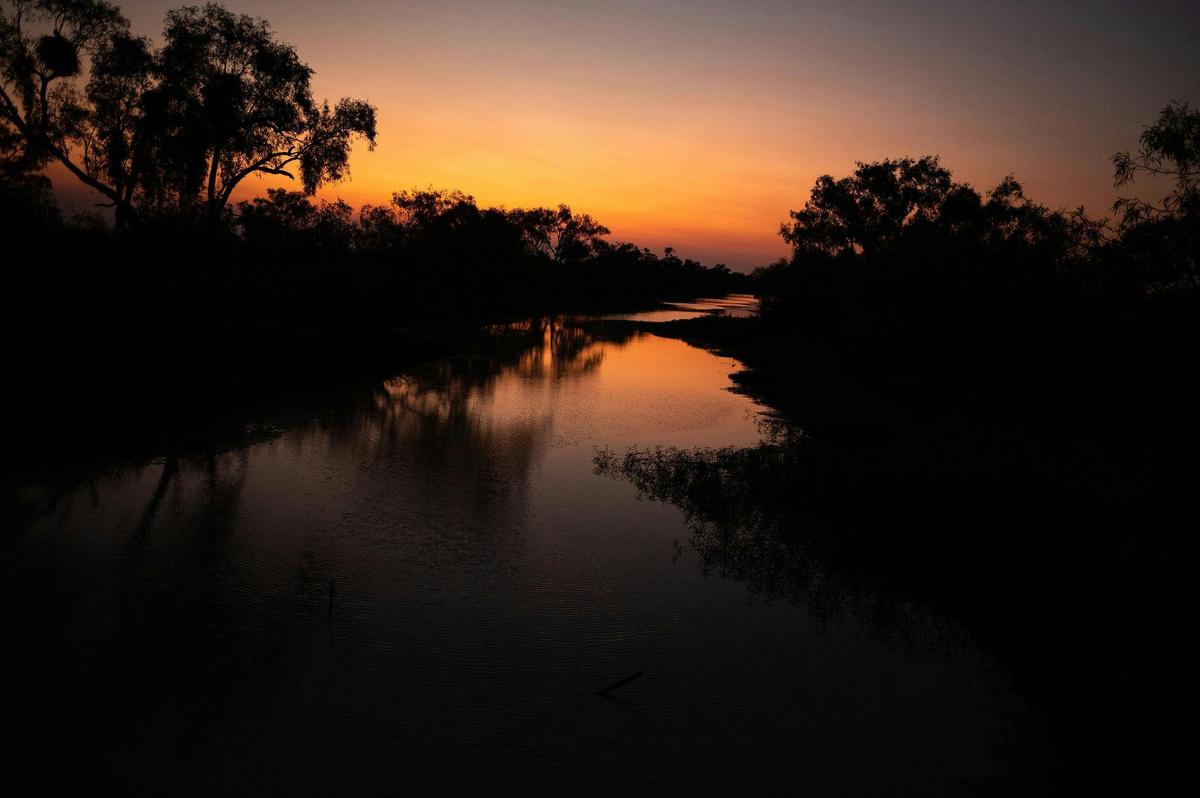 Silver-Tails Rail Sunset