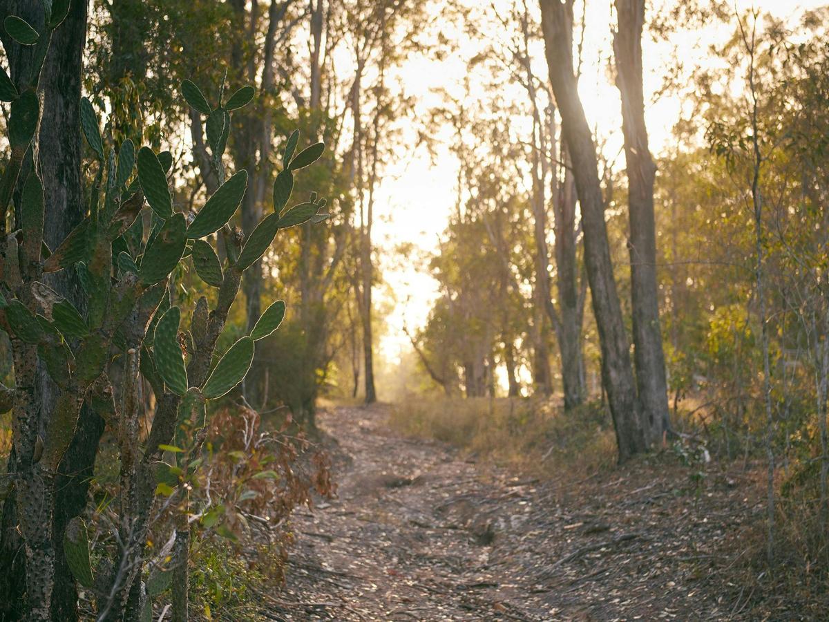 Raysource Road