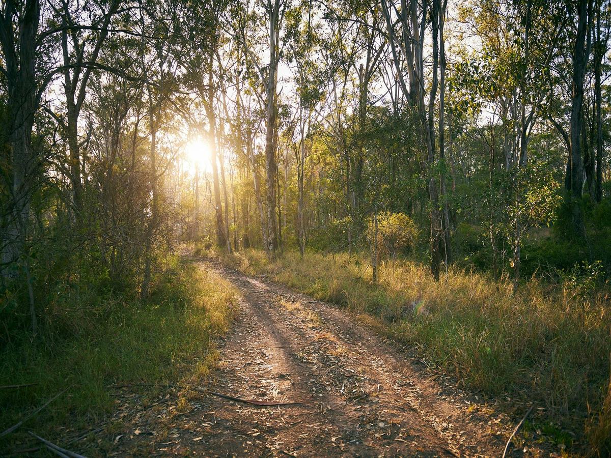 Raysource Road