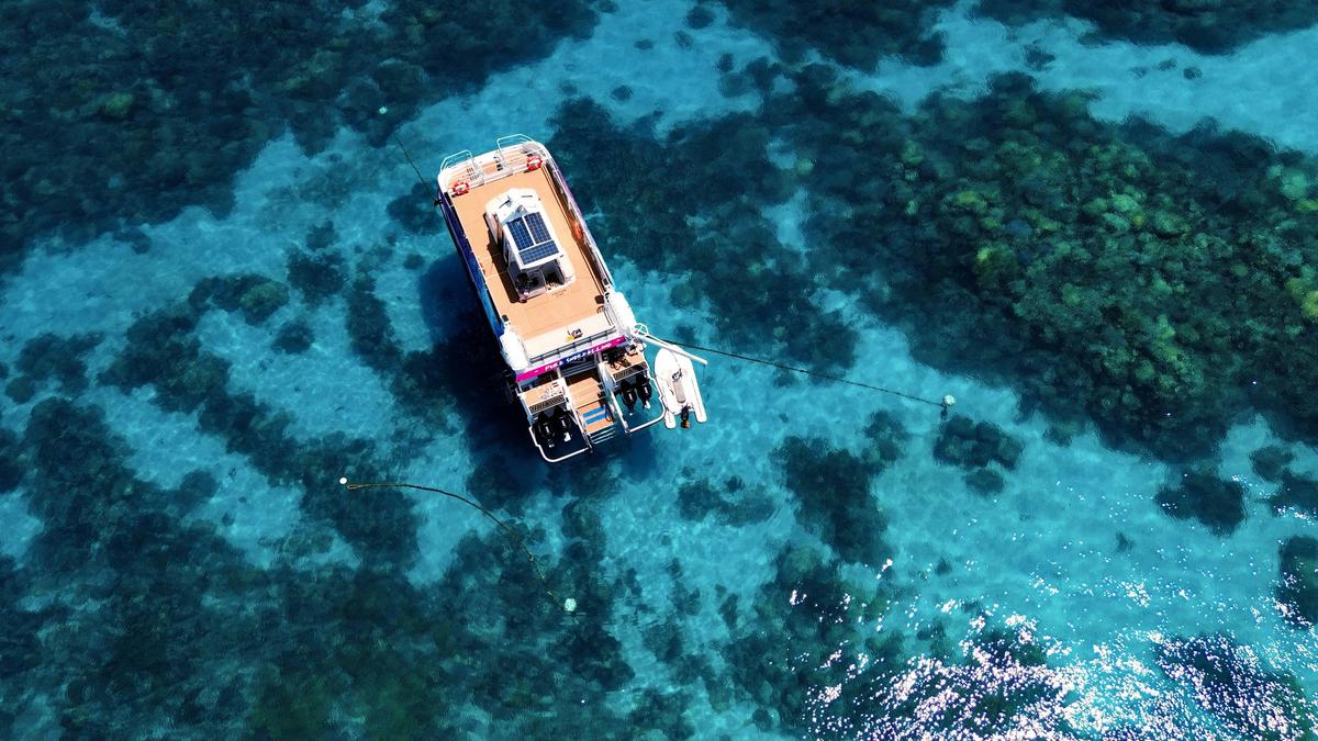 Pure Snorkelling top deck lounge area for relaxing with friends & enjoying the views above the water