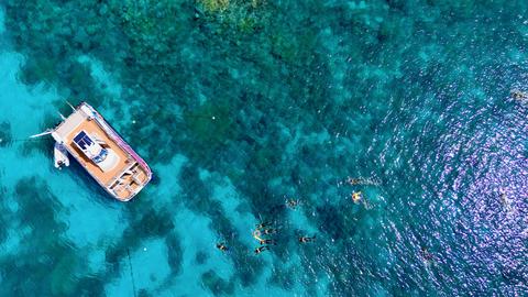 Pure Snorkelling Half Day Great Barrier Tour