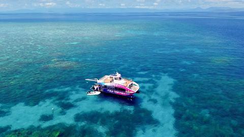 Pure Snorkelling Adventures