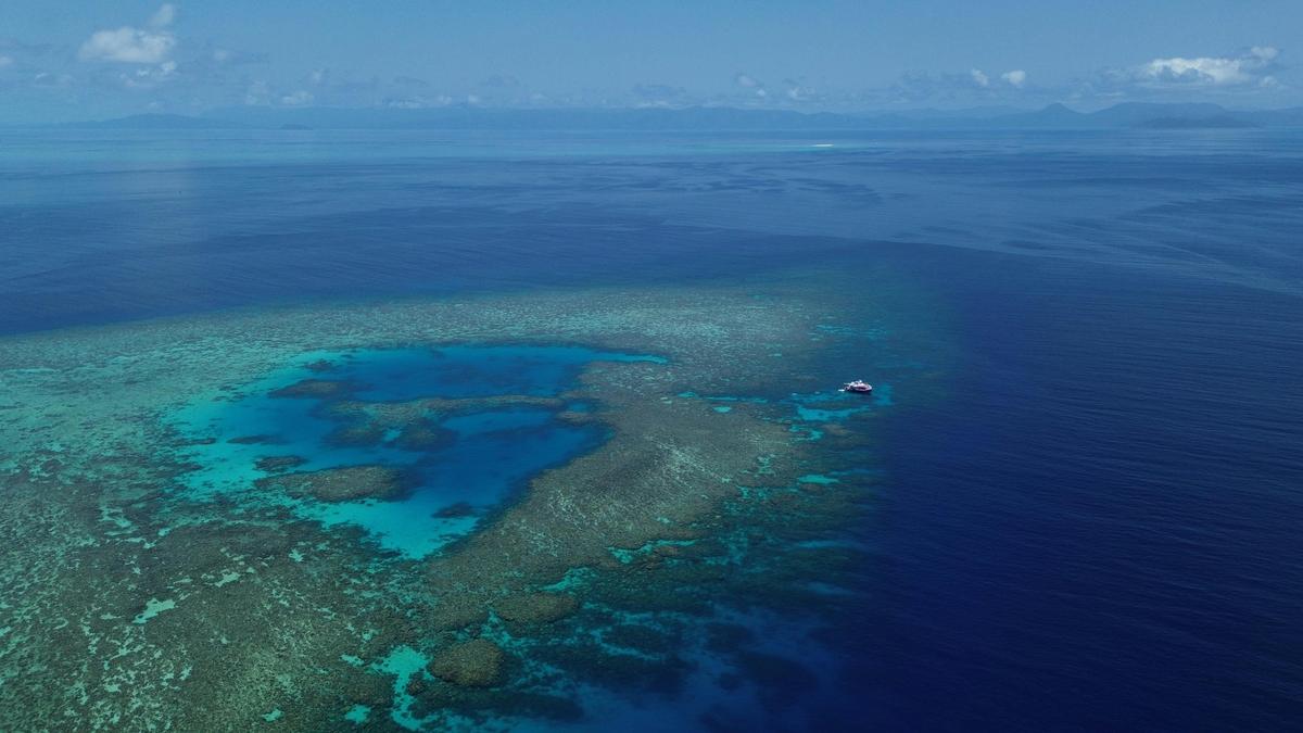Pure Snorkelling boat at Briggs Reef