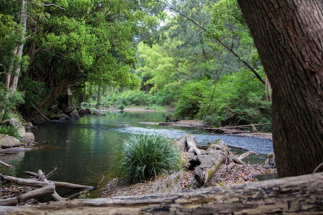 Orara River - Coramba to Nana Glen
