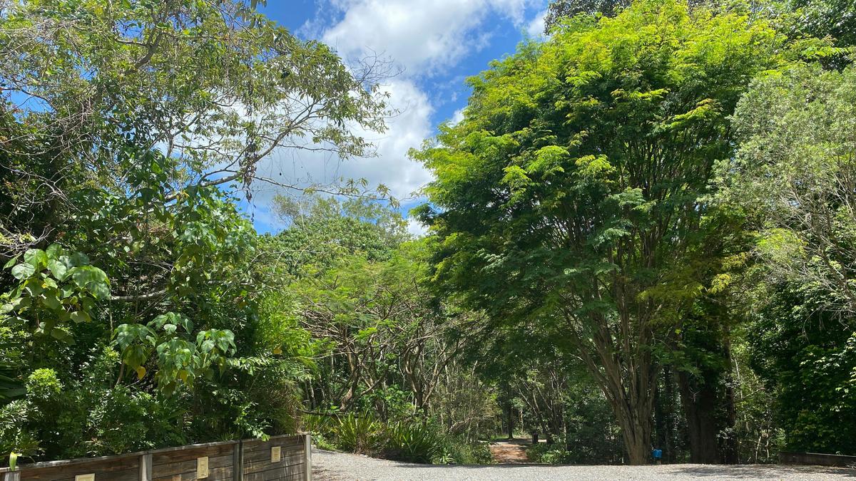 Rainforest Retreat