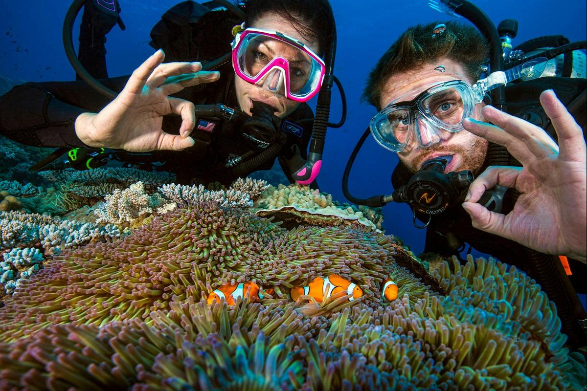 PADI 5 Day Learn To Dive Course