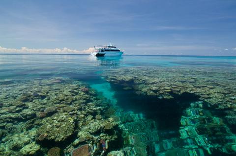 Pro Dive Cairns