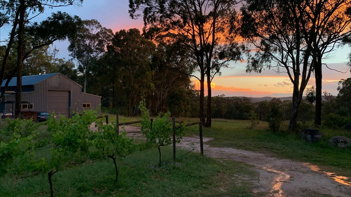 Sunset overlooking the winery