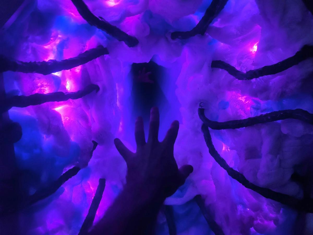 The Portal