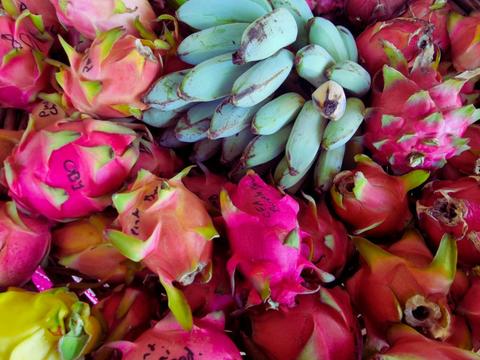 Rare Dragon Fruit