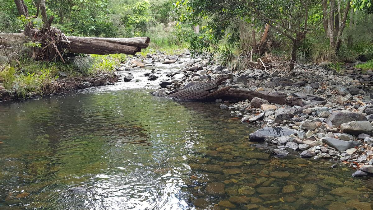 Private Rainforest Creek Camp