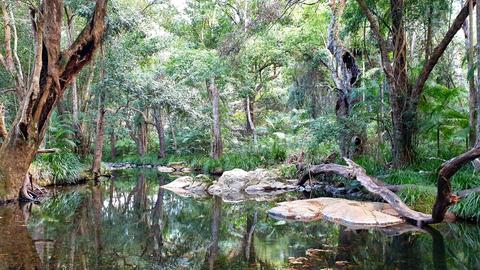 Private Rainforest Creek Camp