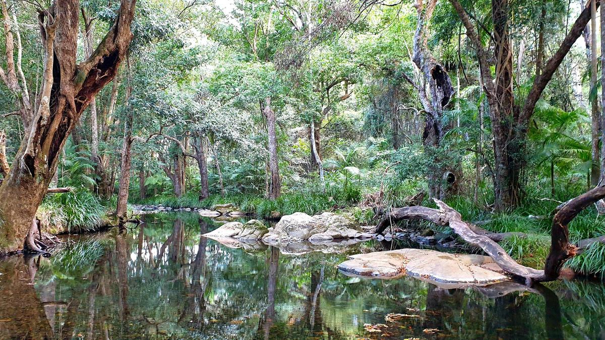 Private Rainforest Creek Camp
