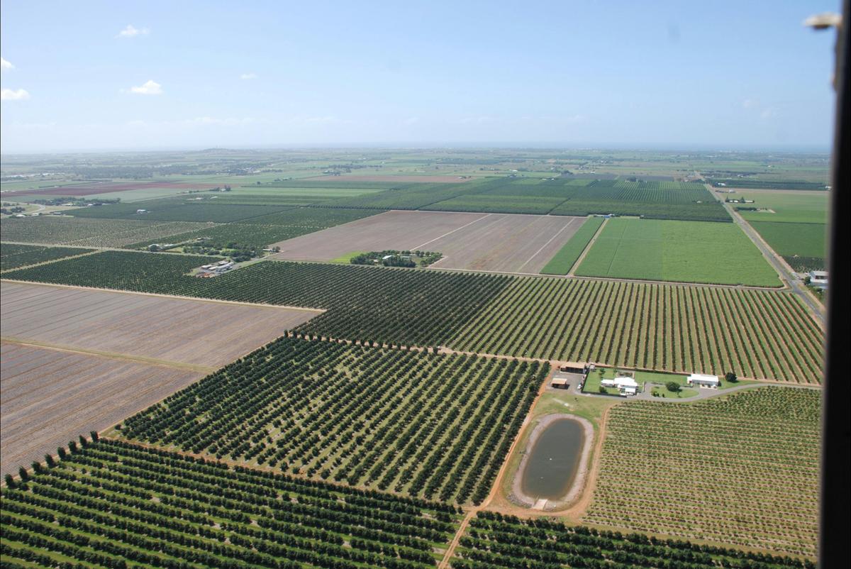 Bundaberg Heritage