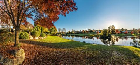 Quart Pot Creek, Stanthorpe
