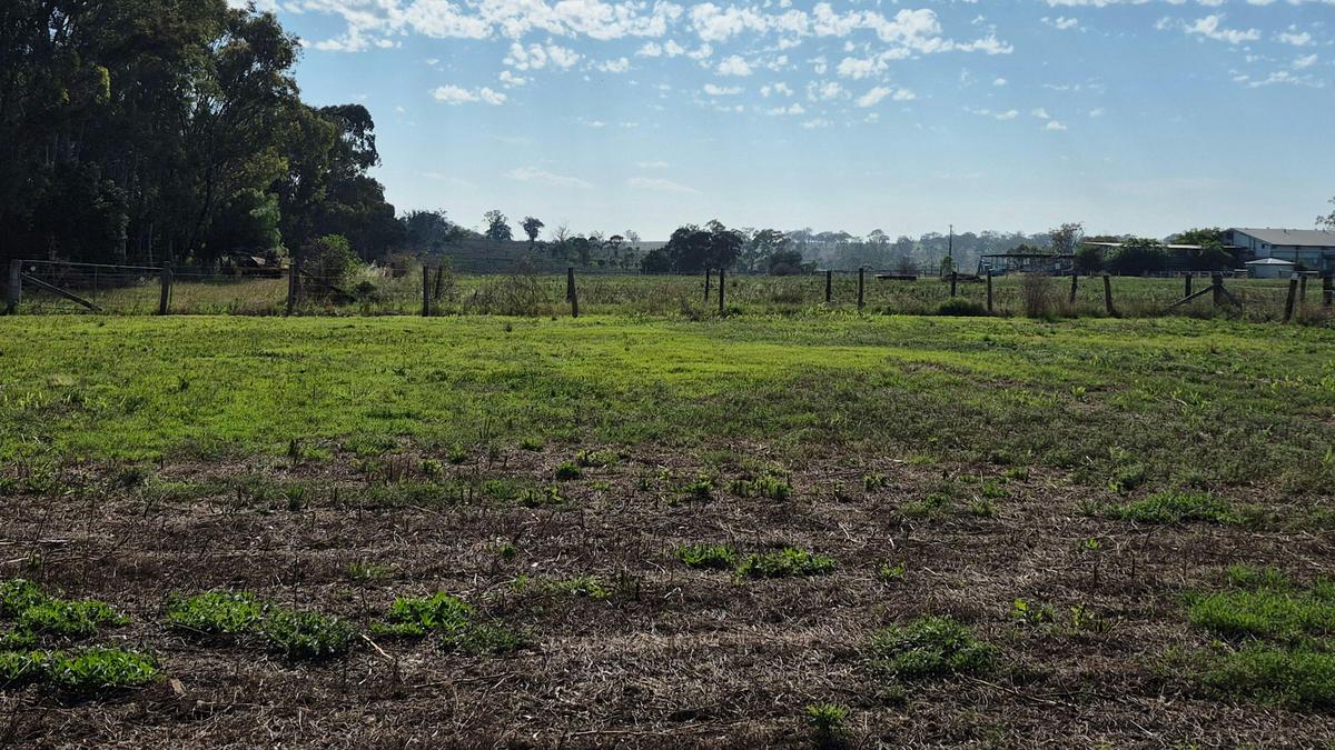 Ravenhill Reserve