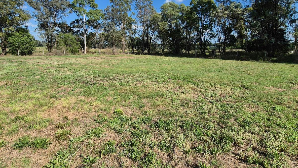 Ravenhill Reserve