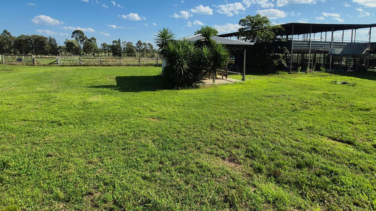 Ravenhill Reserve