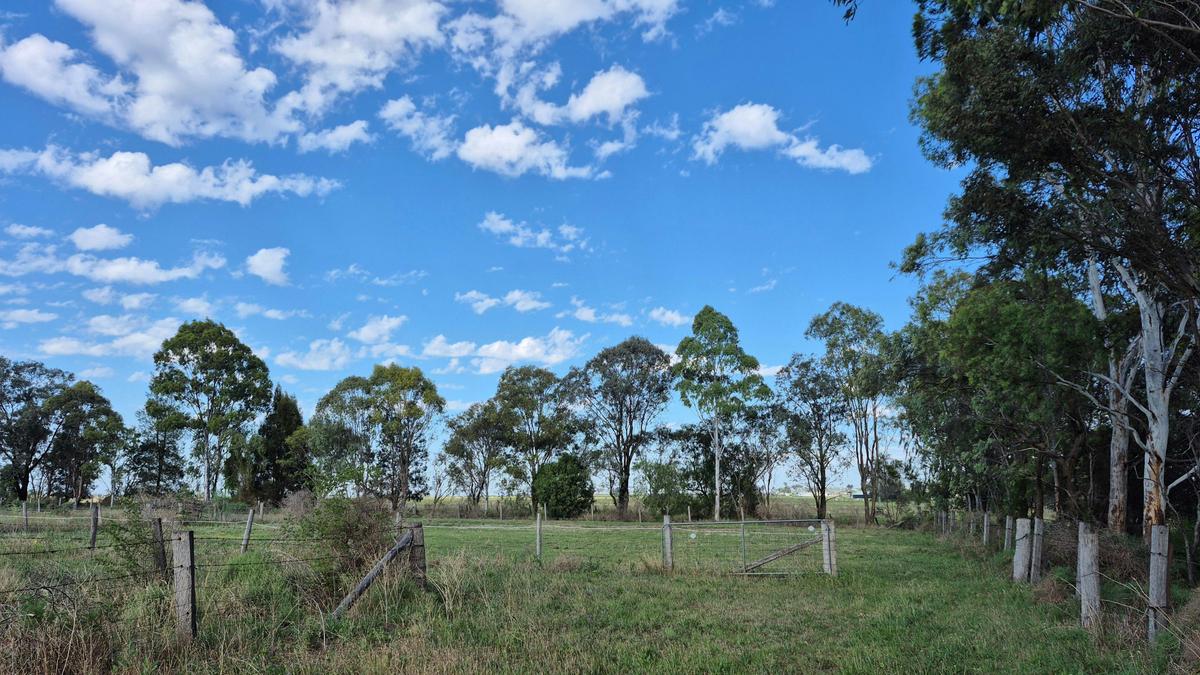 Ravenhill Reserve