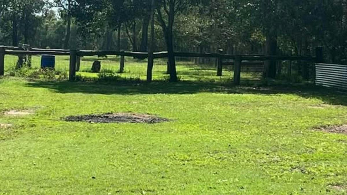 Red Pig Farm Coominya