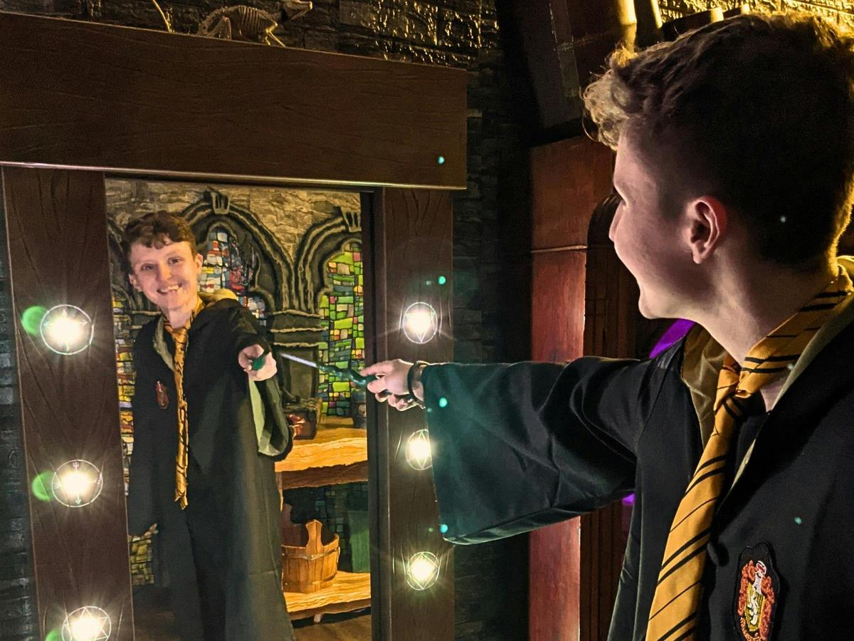 The Wizard's Apprentice