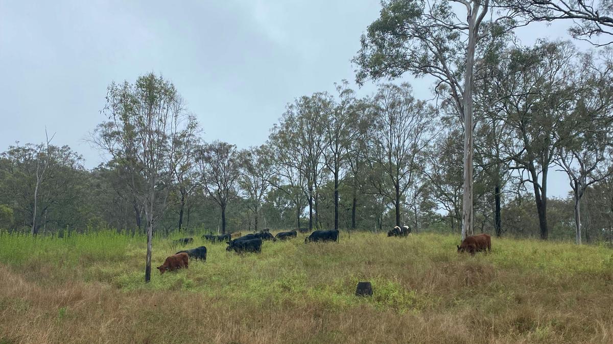 Range View