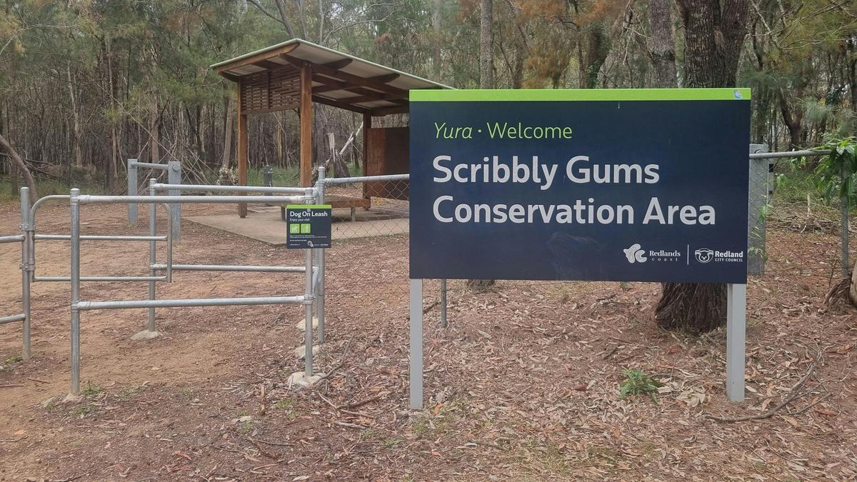 Scribbly Gums
