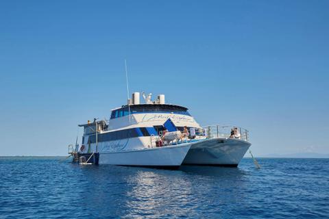 Reef Experience Great Barrier Reef Tours from Cairns