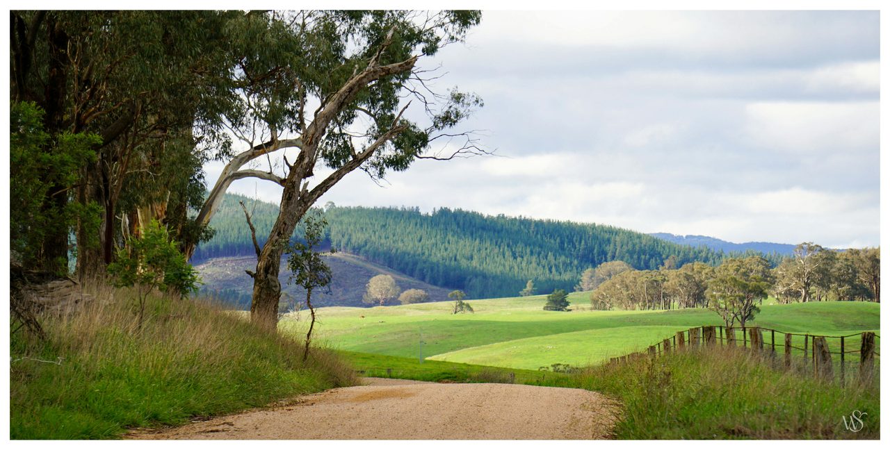 Newbridge and its surrounds in spring are spectacular