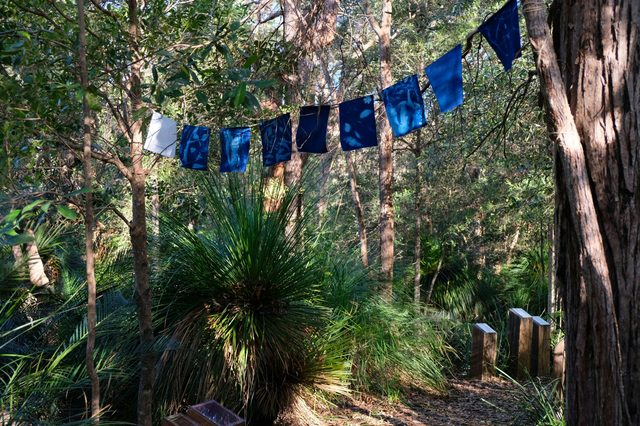 Pearl Beach Arboretum