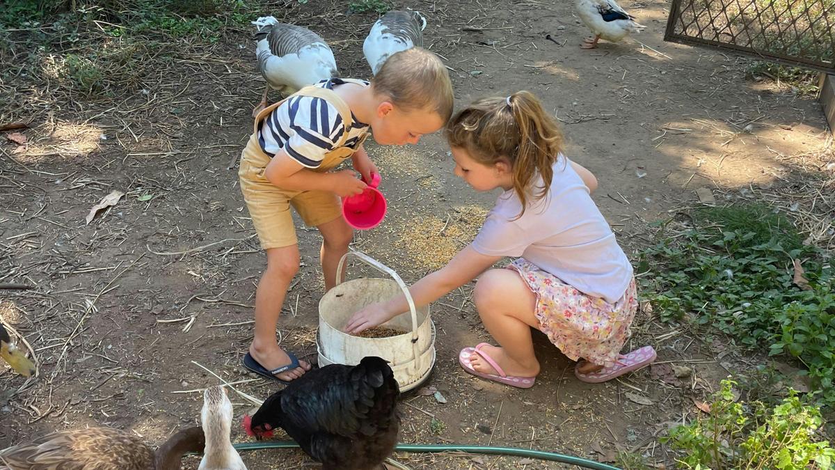 Riverfront Hobby Farmstay