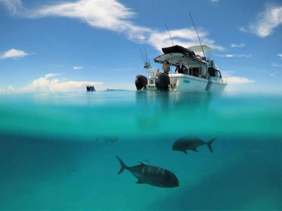 fishes and boat