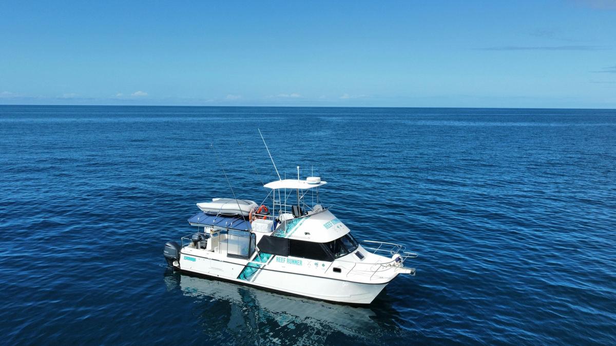 Reef Runner Vessel