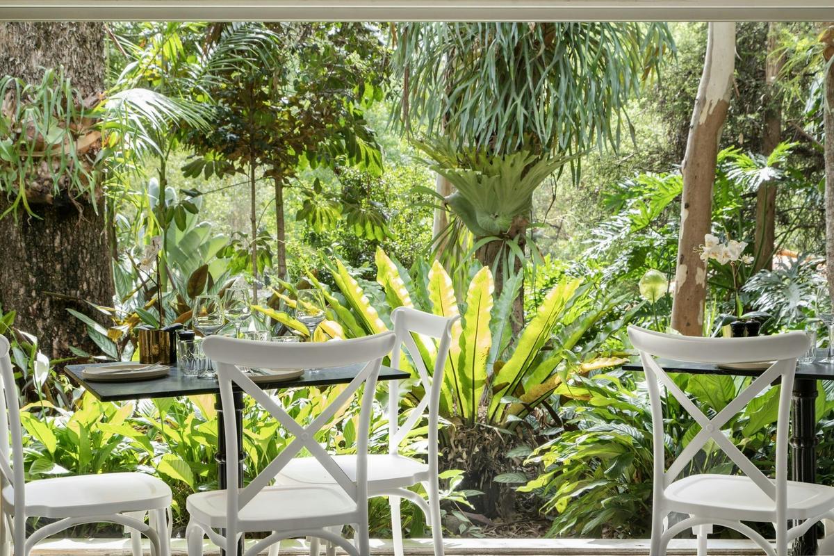 Rainforest Restaurant